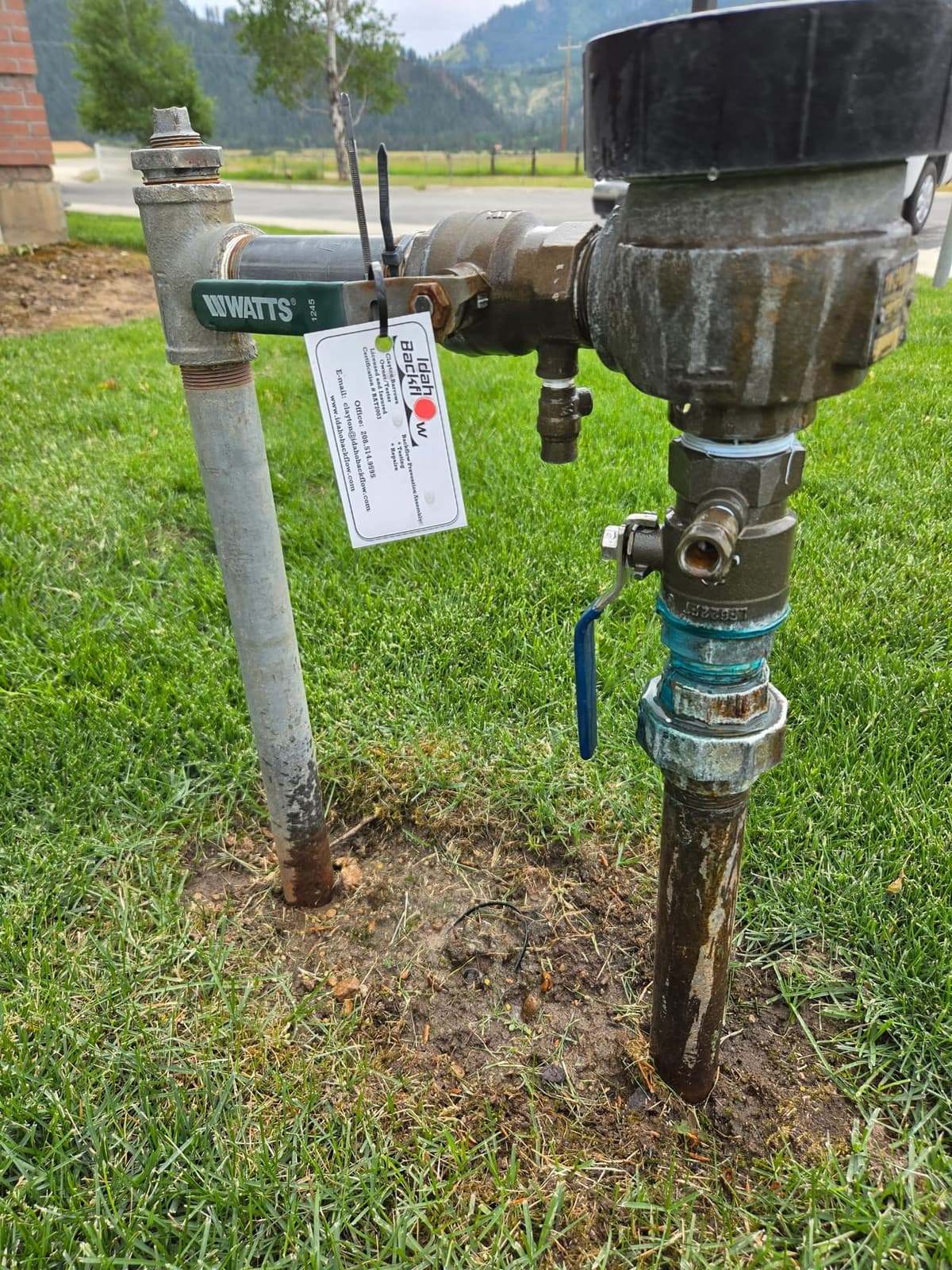 Lawn-installed Watts backflow assembly with Idaho Backflow service tag
